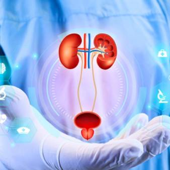 Urologist in Nandyal